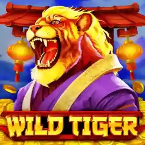 Wild Tiger logo by BGAMING Circus Casino